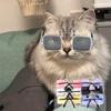 Fashion Dog Photos Props Pet Accessoires Pet Products Cat Eye-Wear Pet Glasses Cat Glasses Cat Sunglasses Pets Party Decor