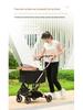 Lightweight Pet Stroller: Foldable, Detachable for Small Dogs & Cats - Ideal for Outdoor Use