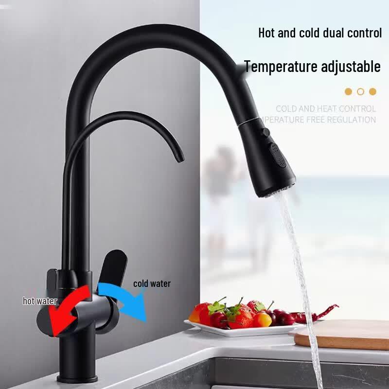 TLXT Pull-Out Kitchen Faucet with Water Purifier