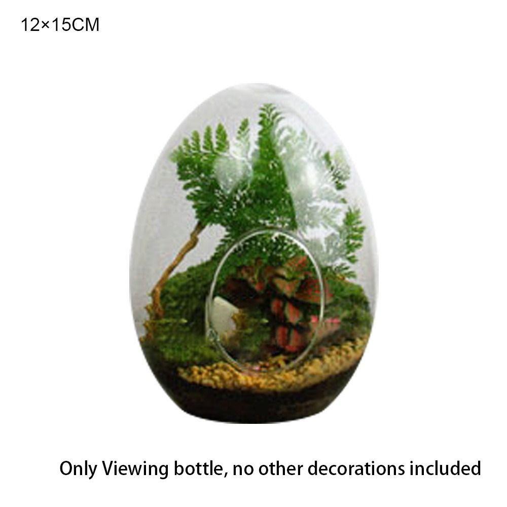 Egg-shaped Terrarium Succulent Glass Vase Micro Landscape Glass Home Decoration Glass Bottles