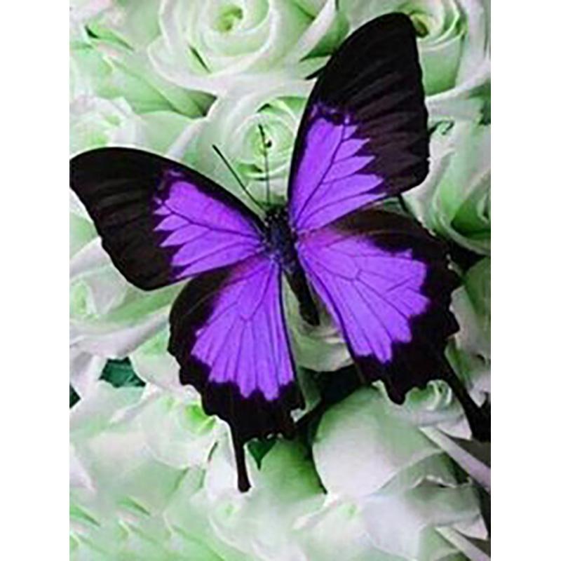 DIY 5D алмазная живопись Бабочка полная круглая дрель цветочная Алмазная вышивка крестиком мозаика стены книги по искусству домашний декор подарок