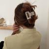 Headwear For Female Hair Accessories Acetic Acid Hair Claw Korean Style Crab Clip Women Hair Clip
