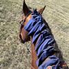 Pack Of 8 High Elastic Polyester Horse Hair Protectors For Defense Against Friction And Damage