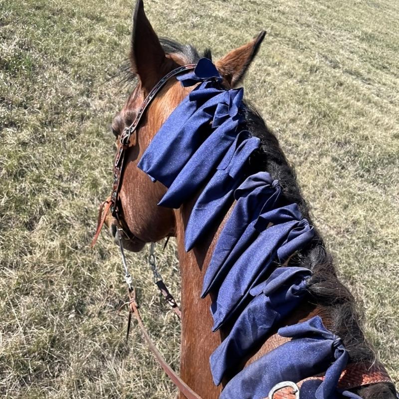 Pack Of 8 High Elastic Polyester Horse Hair Protectors For Defense Against Friction And Damage