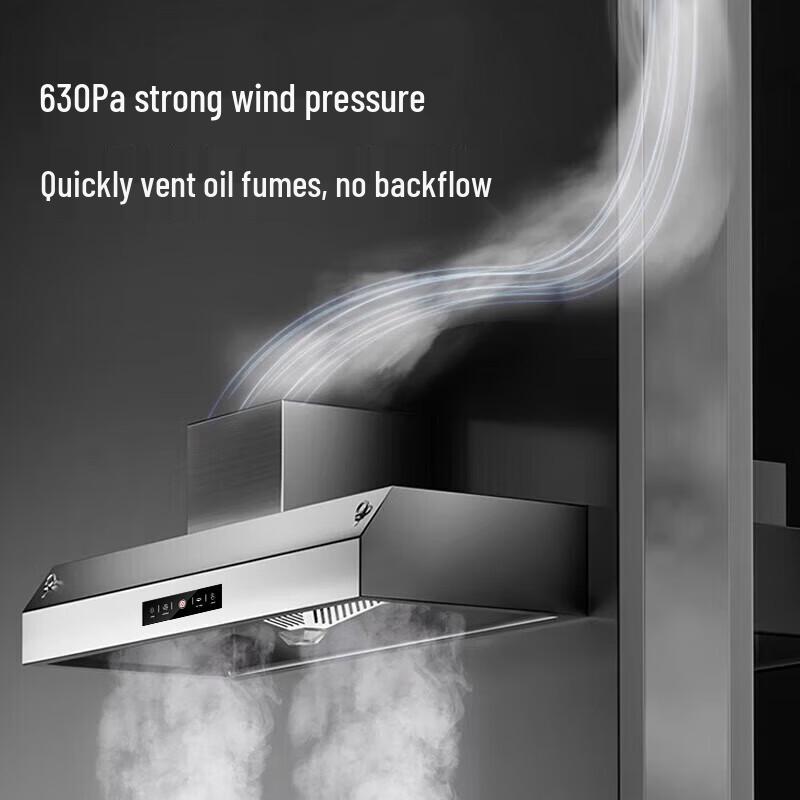 TERUISI Commercial Kitchen Oil Fume Purifier Integrated Range Hood