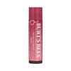 Burt's Bees Tinted Lip Balm Daisy 4.25g, Korean Cosmetics