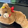 [USED] Summer Holiday Limited Price! Excellent Condition! Steiff Teddy Bear