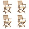 VidaXL Set of 4 Folding Garden Chairs with Cushions, Patio Seats, Dining Chairs, Patio Furniture 3064619