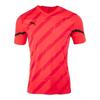 Puma Short Sleeve Tee Zqj Puma Indivisual Cup Jersey 657541 43