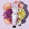 Cocodor Dafume Hand Cream 60ml_Choose 1 of 4 Types