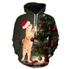 Premium Quality Men Women Christmas 3d Graphic Print Hooded Hoodie Sweatshirt Pullover With Timeless Style