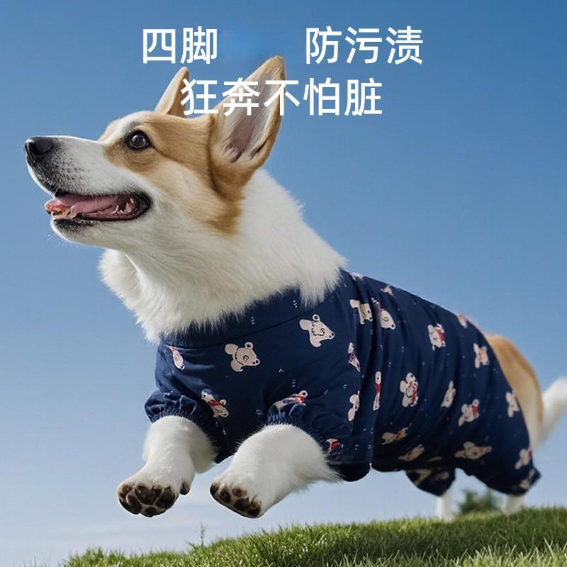 Waterproof Dog Raincoat With Bear Print Small Medium Dogs Outdoor Use