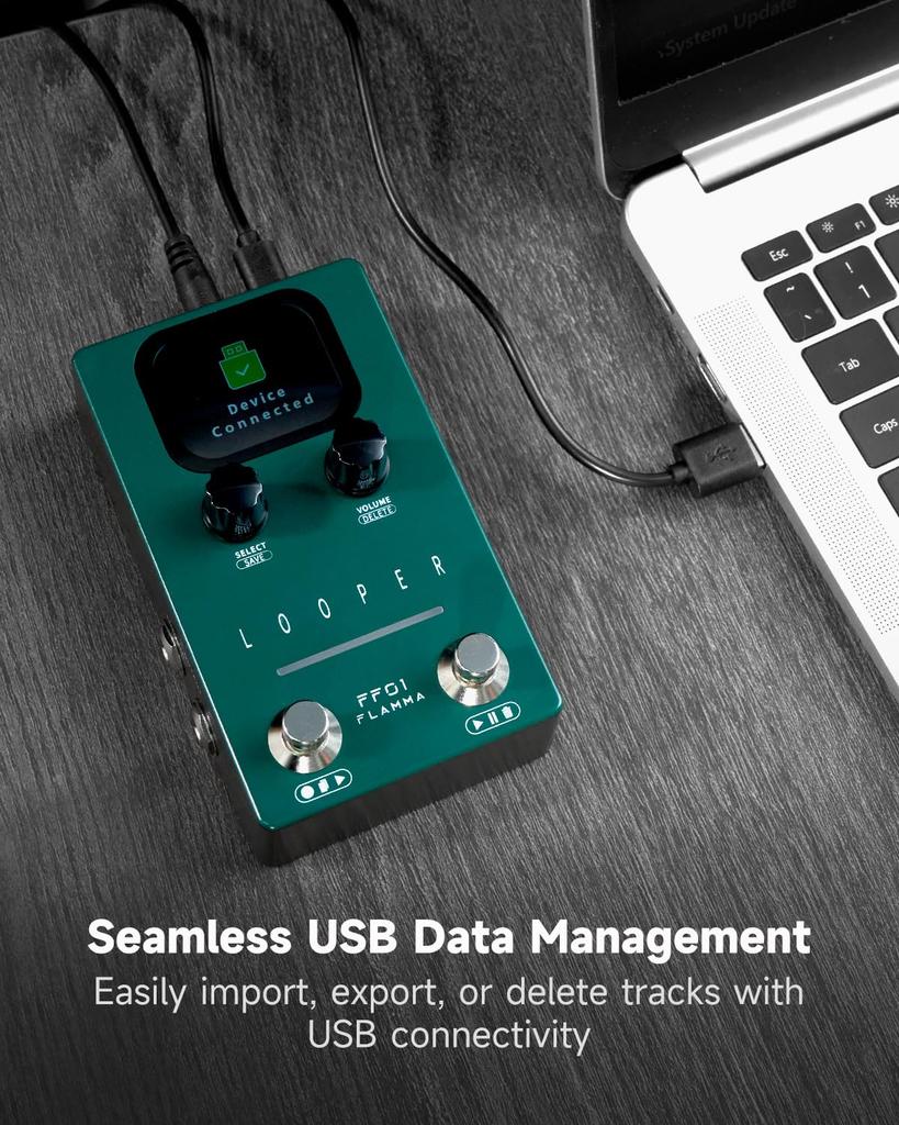 FLAMMA Looper Guitar FF01 Looper Pedal 40 160-минутный стерео лупер с электрическим затуханием USB-педаль управления данными, — слоты, время, экран,