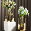 2025 Pentagram Heart Hydroponic Vase Home Decoration Tabletop Ornament Glass Test Tube Nordic Style Triangle Rectangle Iron Art