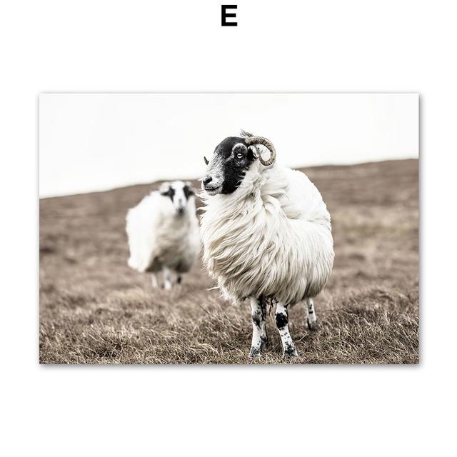 Аврора, горное озеро, лес, овечий тростник, настенная живопись на холсте, постеры на скандинавскую тему и принты, настенные панно для декора гостиной