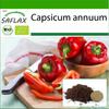 Organic - Sweet Pepper - California Wonder Red - 20 Seeds - With Potting Substrate for Better Cultivation - Capsicum Annuum