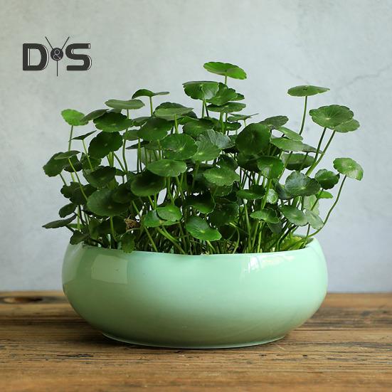 Кашпо для лотоса с большим отверстием, керамический цветочный горшок для лотоса, глазурованная чаша для золотых рыбок, чаша для бонсай, горшок для лотоса для гидропонных растений, нарцисс