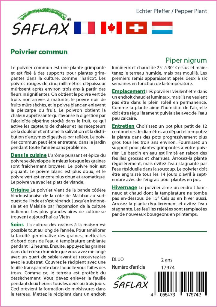 SAFLAX Garden in the Bag - Растение перца - 20 семян - С субстратом в подходящем пакете - Piper nigrum
