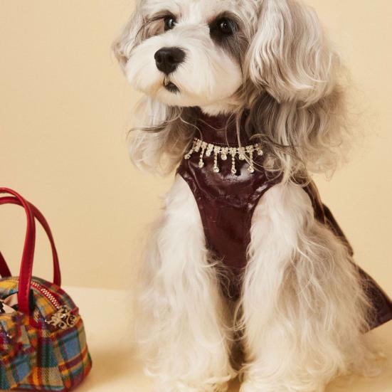 Платье для маленькой собаки, платье принцессы из искусственной кожи без рукавов, черная юбка-пачка для девочек и собак, наряды для мотоциклистов на день рождения и свадьбу