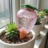 Water Conservation Succulent Plant Sprinkler Transparent Automatic Watering Device  Indoor Plants