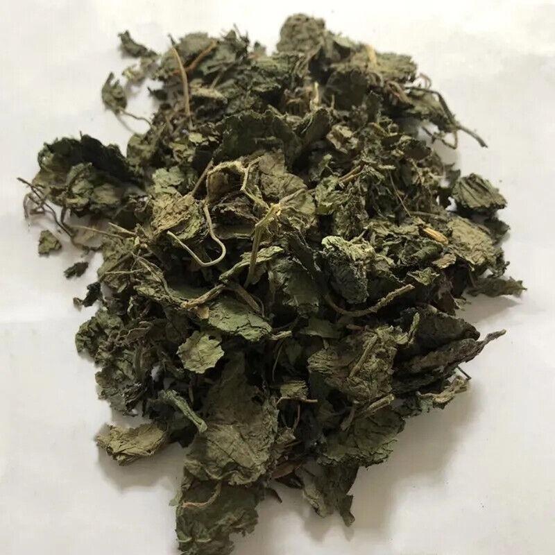 STINGING NETTLE LEAF WILDCRAFTED HERBAL TEA 100g Urtica Dioica DRIED HERB