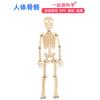 Human Skeleton Model Diy Technology Small Skeleton Assembly Teaching Aids Children's Puzzle Handmade Material Package