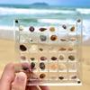 36/64/100 Grids Acrylic Seashell Display Box Case Clear Magnetic Storage Box Small Craft Container for Bead Nail Jewelry Holder