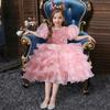 Girls Princess Dress Puff Sleeve Sequin Mesh Puffy Dress for Flower Girl Catwalk Skirt