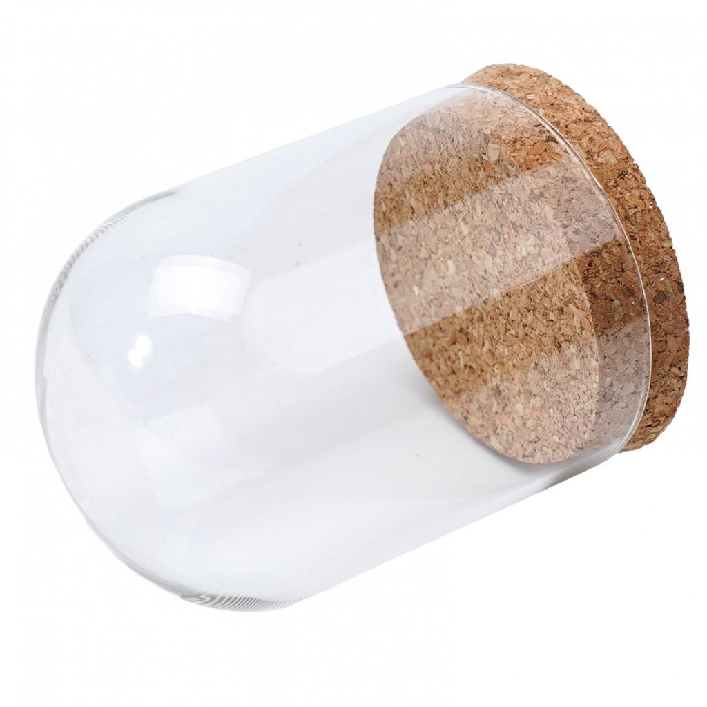 Glass Display Cloche Bell Jar Dome Flower Preservation Cover Wood Base DIY