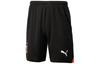 Спортивные шорты AC Milan Мужские Черные 770413-04