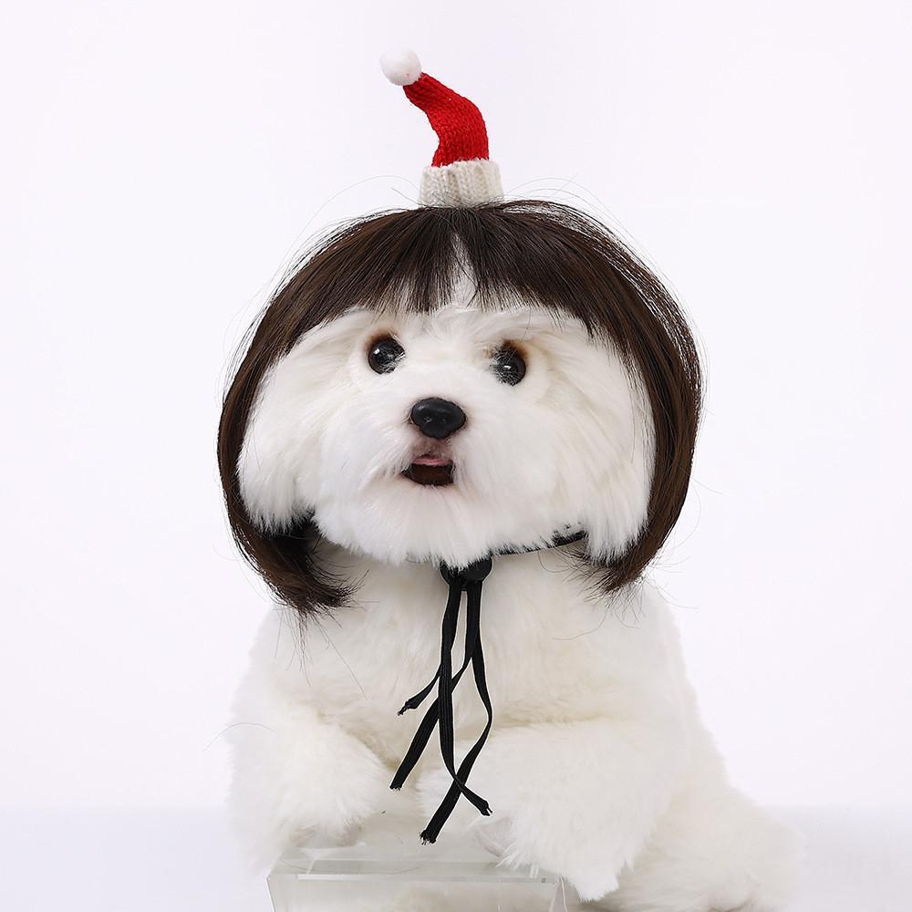 Adorable Pet Wig With Bangs Cute Bob Style For Cats And Dogs In Vibrant Colors