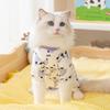 Bear Sticker Autumn and Winter Warm Cat Dog Clothes Bigbear Puppy Hairless Cat Belly Four-legged Clothing Pet Clothing