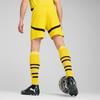 PUMA Borussia Dortmund SS24 Soccer Bottom Men's Yellow Black 774977-01