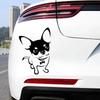 18x12,4 см Милый щенок чихуахуа Наклейка на машину Кузов Автомобиля Бампер Окна Мотоцикл Ноутбук Стены Виниловая Пленка Декаль Автоаксессуары