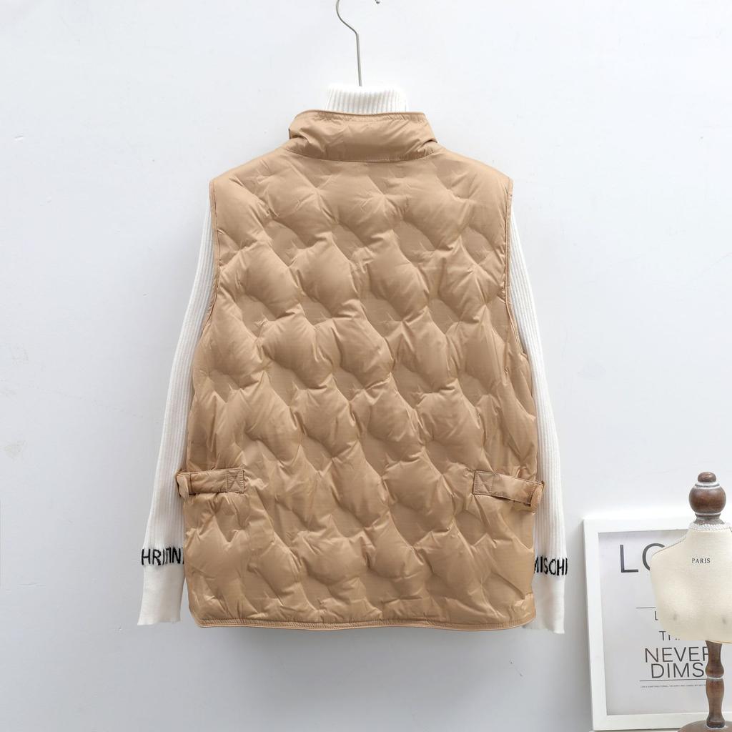 МОДА холодная зима женская 90 флис прессованный клей однотонный зимний жилет женский жилет женский новый пуховик Одежда