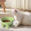 Raised Pet Food Bowl Anti-Slip Dog Cat Dish Anti Vomiting Elevated Pet Bowl for Indoor Pet Food Water Feeder