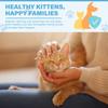 Gentle Deep Cleansing Cat Chin Acne Lotion With Cleaning Brush Pet Grooming Essentials