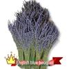 Новый букет цветов лаванды и синего бессмертника из Синьцзяна 2024 года - Декоративные сухоцветы