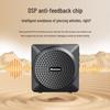 Newsmy U-238 Wireless Clip-on Dual Microphone Amplifier (CN version)