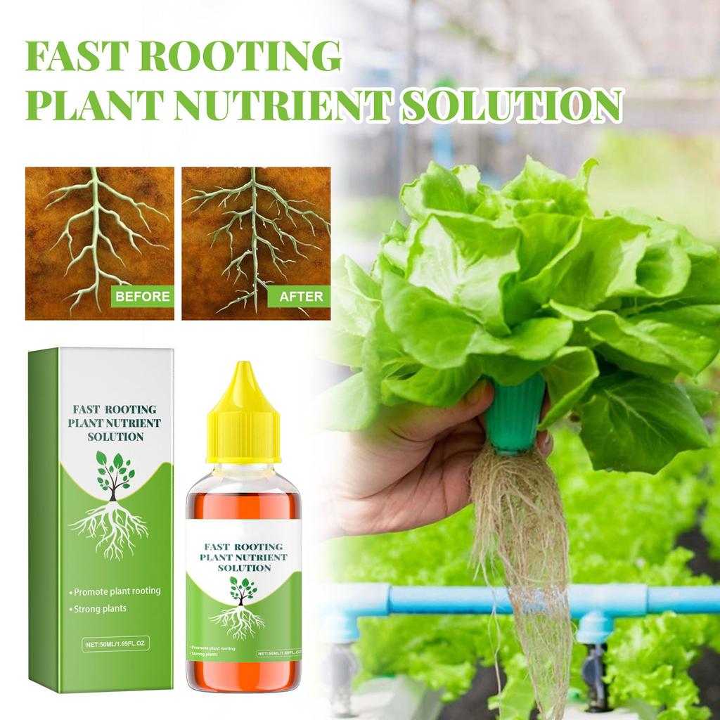 Plant Growth Enhancer Supplement for Promotes Rooting Concentrated Magic Fertilizers Solution for Promote Photosynthesis