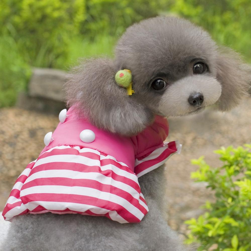 Осень и зима щенок тедди померанского шпица питомец зимний кот цветочный летящие рукава маленькая собака двухлапое платье с хлопковой подкладкой