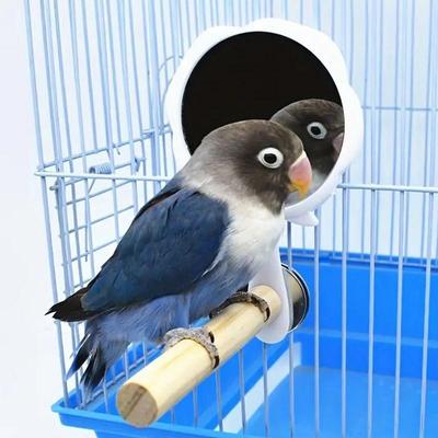 Зеркало для птичьей клетки Игрушки для птиц для клетки Интерактивные игрушки Игрушка-зеркало для птиц Жердочка Игрушки для птиц для попугая, волнистого попугайчика, кореллы
