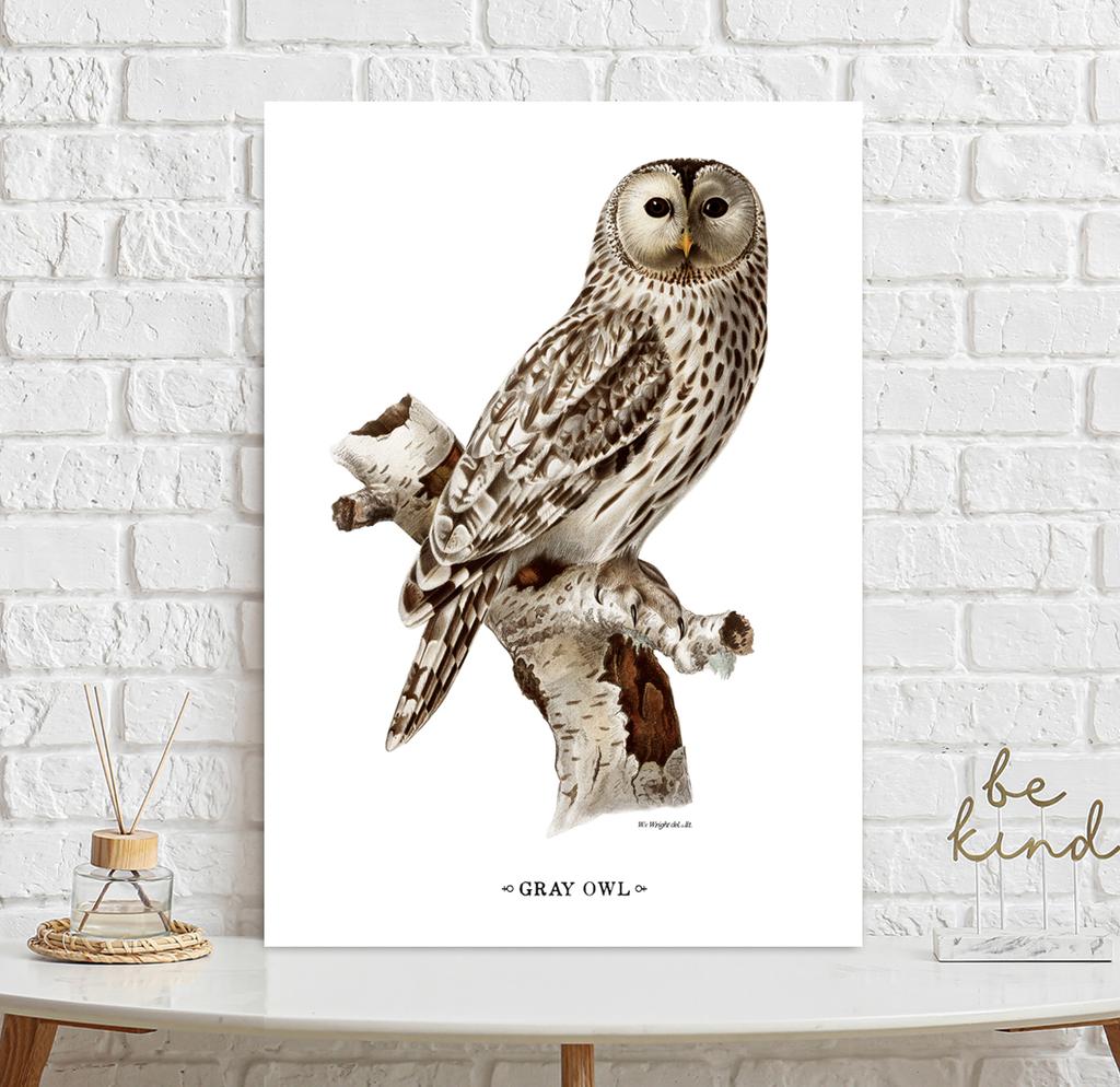 Owl Vintage Poster