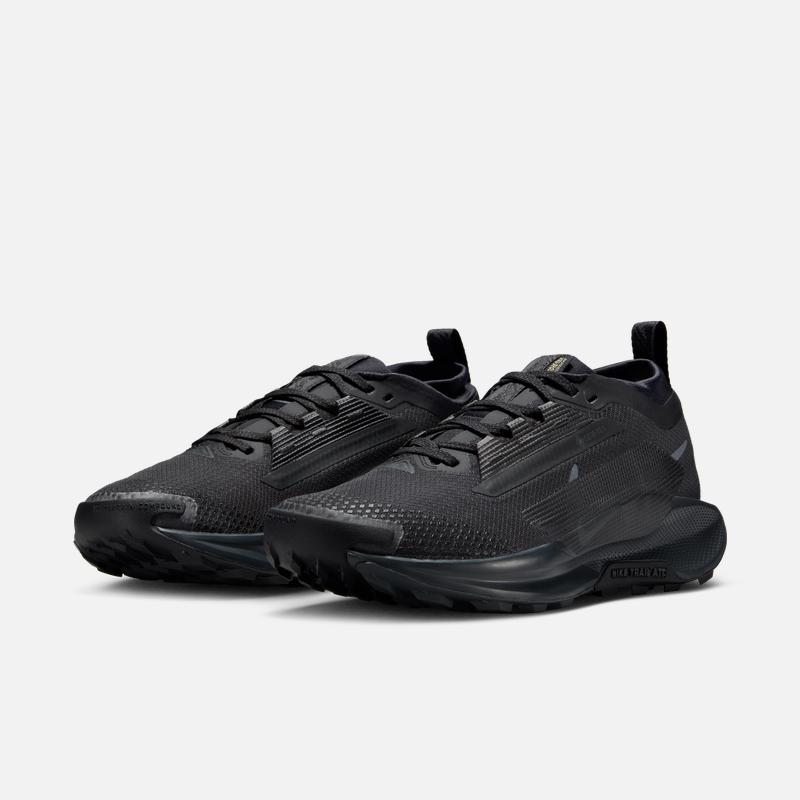 Nike Женские Весенние Профессиональные Беговые Кроссовки PEGASUS NIKE PEGASUS TRAIL 5 GORE-TEX FQ0912