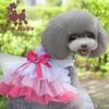 Lips Tulle Skirt: Spring/Summer Pet Apparel for Dogs