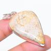 Fossil Coral Handmade 925 Sterling Silver Jewelry Pendant 2.17" T9N06