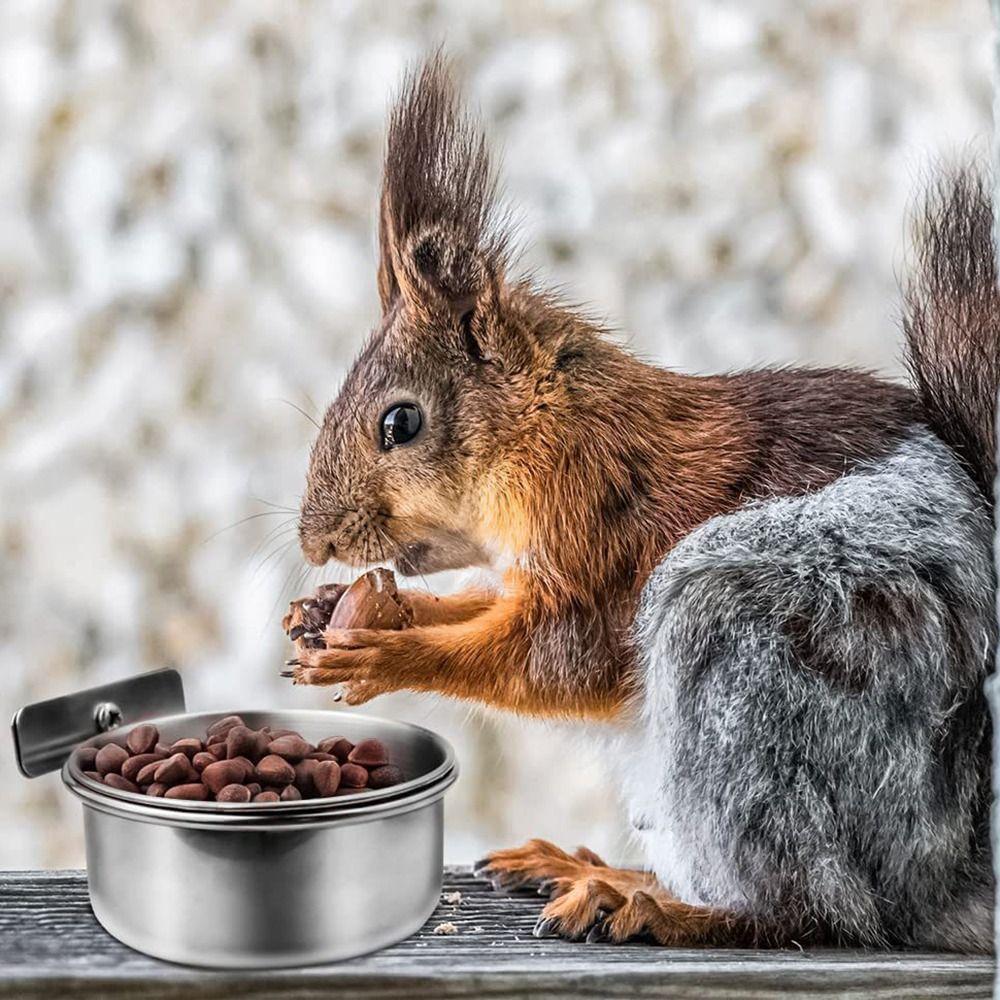 Steel Anti-gnawing Pet Activity Food Box Bird Food Cup Food Water Feeding Pet Feeder Bird Feeder