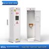 Junshi Lab Стальной взрывозащищенный шкаф для одного газового баллона