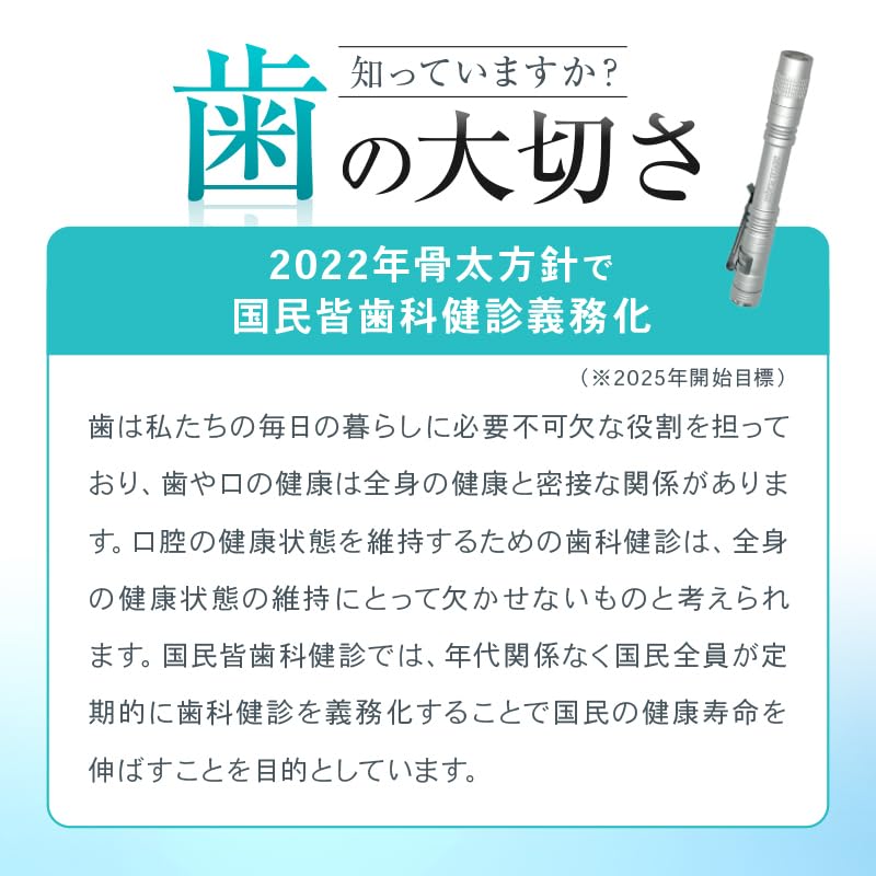 [Выявляйте скрытый налет с первого взгляда] OMNI Индикатор зубного налета (черный)