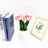 Multicolor Simulation Corn Poppy Potted Artificial Flower Ornament Desktop